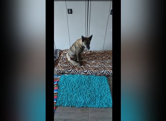 Maya trotz Handicap voller Lebensfreude