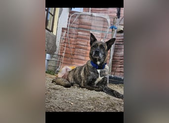 Maya trotz Handicap voller Lebensfreude