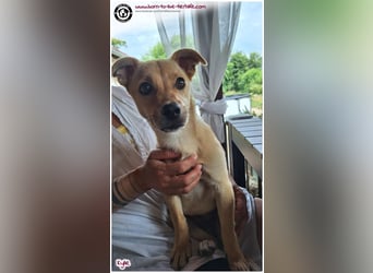 Kleine Kylie auf der Suche nach ihrem Zuhause