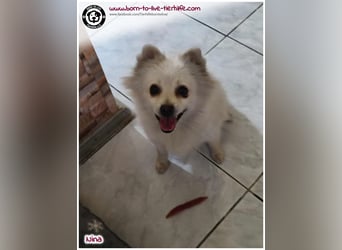 Hübsche Nina sucht ein Zuhause