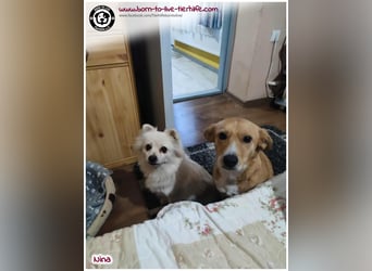 Hübsche Nina sucht ein Zuhause