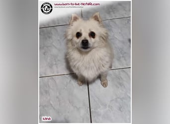 Hübsche Nina sucht ein Zuhause