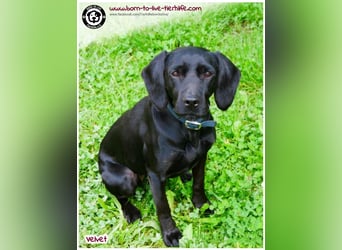 Velvet sucht ein neues Zuhause