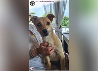 Kleine Kylie auf der Suche nach ihrem Zuhause