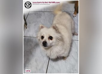 Hübsche Nina sucht ein Zuhause
