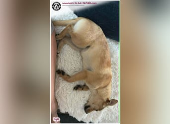 Kleine Kylie auf der Suche nach ihrem Zuhause