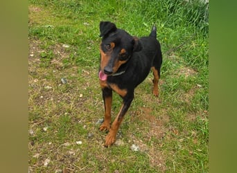 Rico-Kämpfer mit Herz