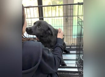 Kleiner Herzensbrecher sucht Dich für ein Leben in Sicherheit und mit Freude