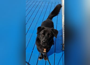 Kleiner Herzensbrecher sucht Dich für ein Leben in Sicherheit und mit Freude