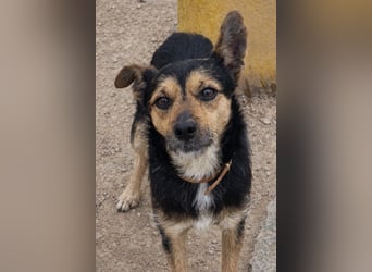 ❤️ TRASTO ❤️