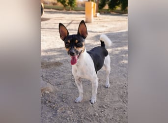 ❤️ GOTEN ❤️