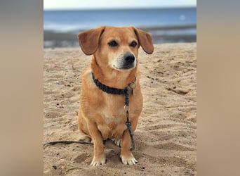 Luna - ist ein kluger Sturkopf