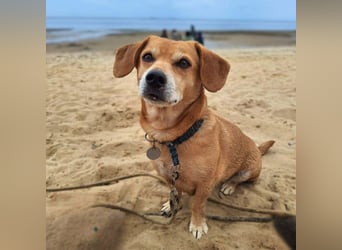 Luna - ist ein kluger Sturkopf