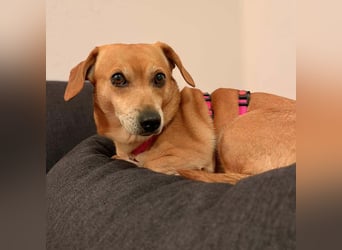 Luna - ist ein kluger Sturkopf