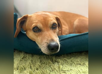 Luna - ist ein kluger Sturkopf