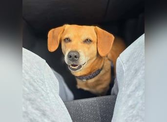 Luna - ist ein kluger Sturkopf