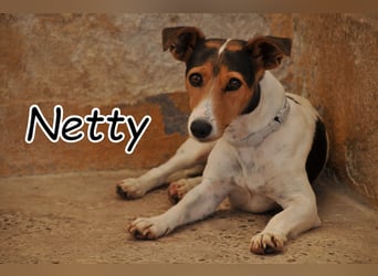 Wer möchte Netty zeigen, dass sie nie wieder auf ihre Menschen verzichten muss?