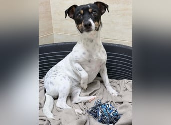 Nika - Kleines Herzensmädchen sucht ihr Glück❤️