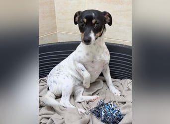 Nika - Kleines Herzensmädchen sucht ihr Glück❤️