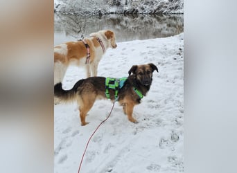 Pino - ist bereit die Welt zu entdecken