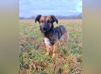 Pino - ist bereit die Welt zu entdecken