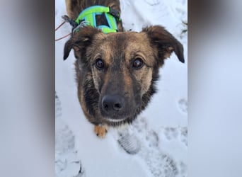 Pino - ist bereit die Welt zu entdecken