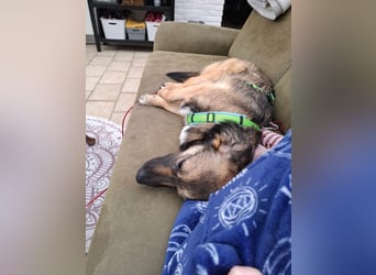 Pino - ist bereit die Welt zu entdecken