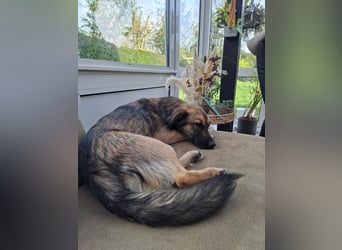 Pino - ist bereit die Welt zu entdecken