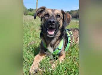 Pino - ist bereit die Welt zu entdecken