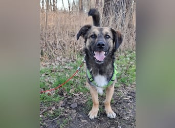 Pino - ist bereit die Welt zu entdecken