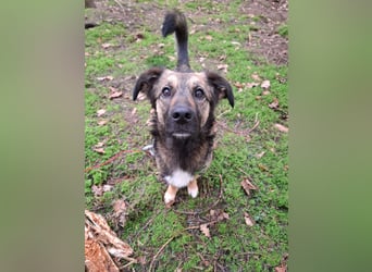 Pino - ist bereit die Welt zu entdecken