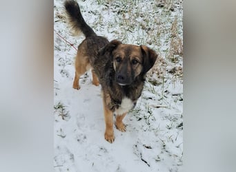 Pino - ist bereit die Welt zu entdecken