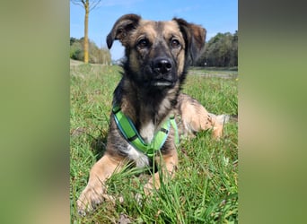 Pino - ist bereit die Welt zu entdecken