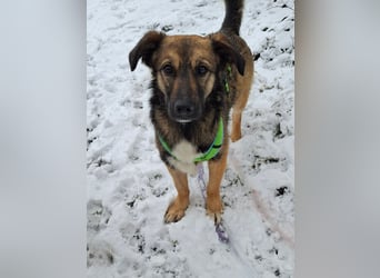 Pino - ist bereit die Welt zu entdecken