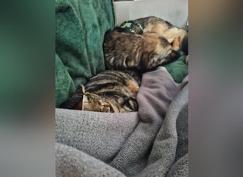 Pino - ist bereit die Welt zu entdecken