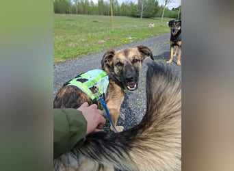 Pino - ist bereit die Welt zu entdecken