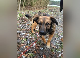 Pino - ist bereit die Welt zu entdecken