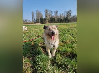 Grillo sucht seine Menschen