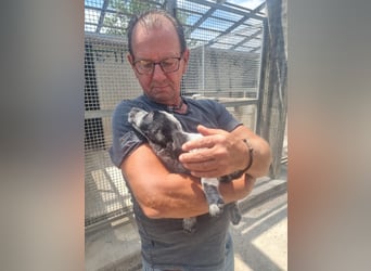 Die kleine Livia sucht ihre Menschen