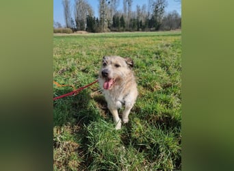 Grillo sucht seine Menschen