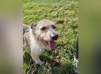 Grillo sucht seine Menschen