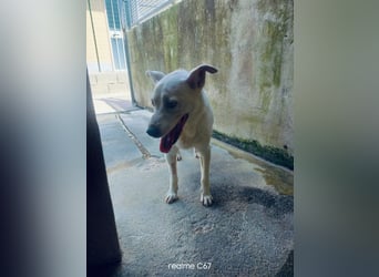 Bianchina sucht ihr Zuhause