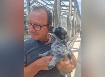 Die kleine Livia sucht ihre Menschen