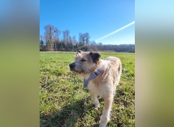 Grillo sucht seine Menschen