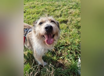 Grillo sucht seine Menschen