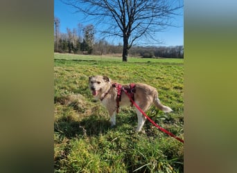 Grillo sucht seine Menschen