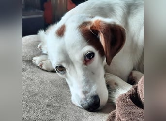 Bimas - ruhig&neugierig