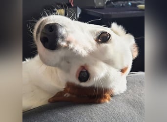 Bimas - ruhig&neugierig