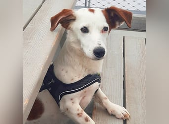 Bimas - ruhig&neugierig