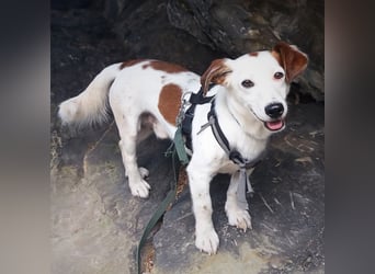 Bimas - ruhig&neugierig